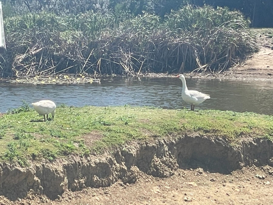 Commercial Property for Sale in Brakkloof Ah Western Cape